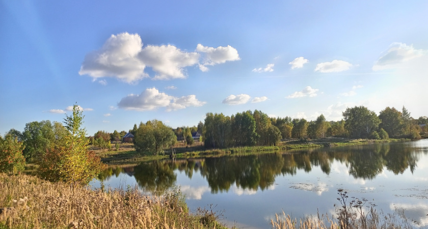 В Слободском районе владелец незаконного забора возле пруда выплатил неустойку