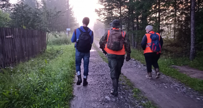 В Кикнурском районе следователи и волонтеры ищут женщину, сбежавшую из больницы