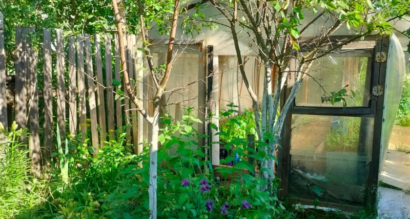 Готовлю перегной без танцев с бубном - так и советские дачники делали: осенью засыпали компост, а весной получили землю