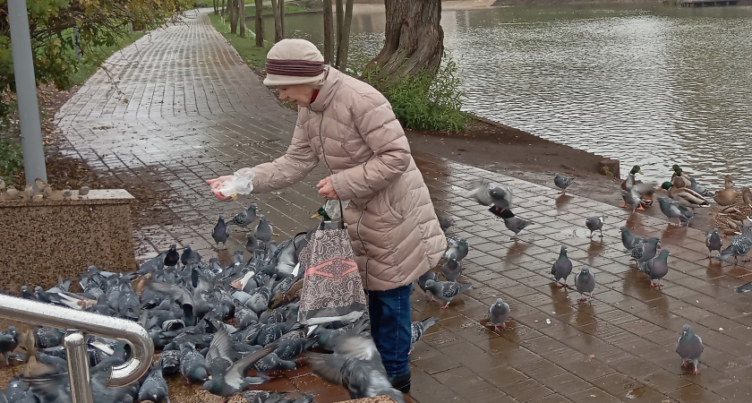 Забудьте про детей и друзей - предадут и бросят в старости: запомните 4 железных правила, которые помогут не сломаться