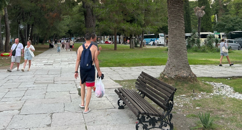 Съездила на сбор мандаринов в Абхазию: вот сколько можно заработать - честный рассказ туриста