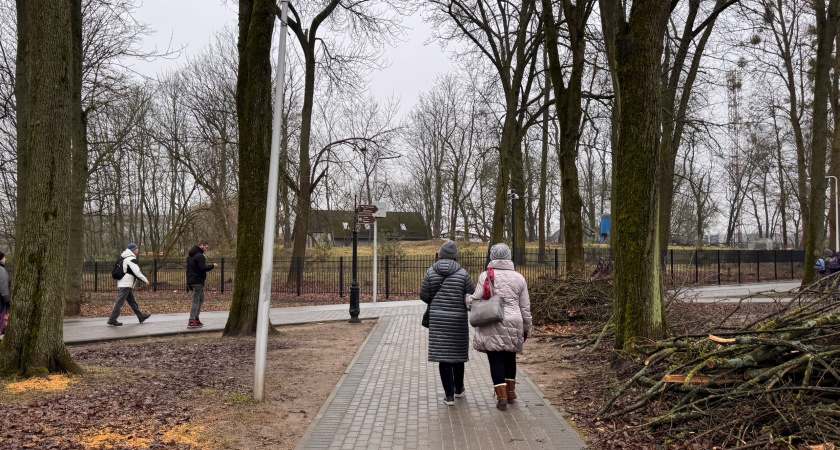 В Кировской области более 403 тысяч жителей получают пенсии