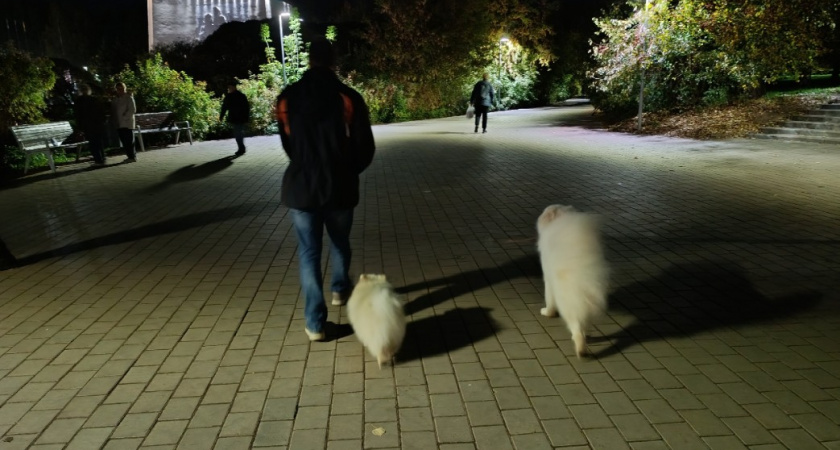 Никогда не совершайте эти добрые дела - обернется бедой: 1 мудрость Николая Бердяева 