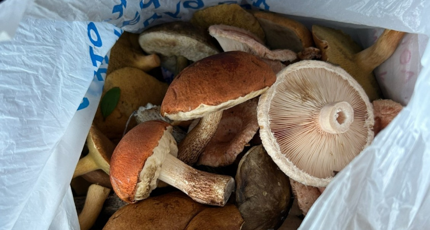 Теперь чувствую настоящий вкус грибов - нужно всего лишь убрать 1 ингредиент: получаются вкуснее, чем мясо