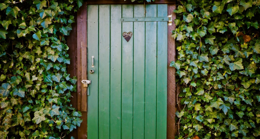 1 ведро в дачный туалет - и запаха не будет год: давно забыла о хлорке и извести - этот вариант проще и надежнее