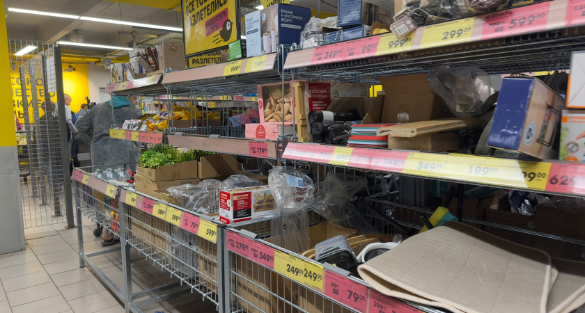 Купила по отзывам кухонные гаджеты из Чижика: блендер, кофеварку, овощерезку и все протестировала - стоит брать или нет