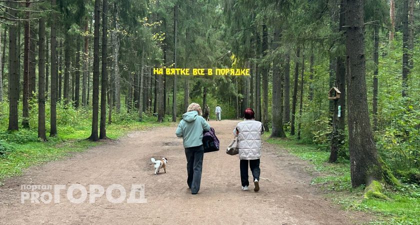 Судьба тропы здоровья в Порошино решена: закроют ли излюбленное место отдыха кировчан?