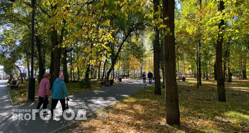 Стало известно, каким будет октябрь в Кировской области 