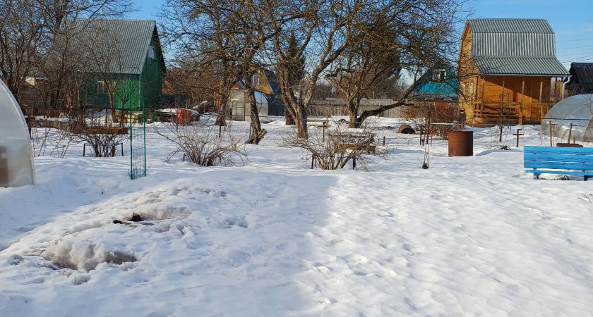 Какой будет зима 2025–2026: синоптики дали первые прогнозы - морозы вернутся