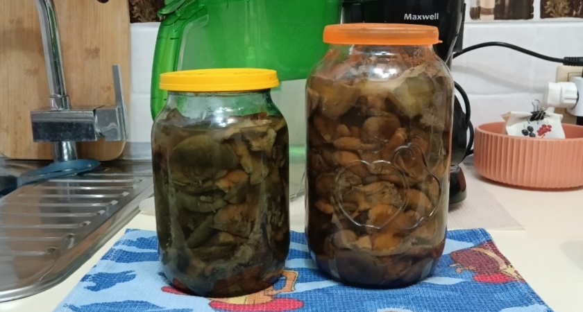 Грибы получаются вкуснее мяса - нужно лишь знать этот классический рецепт засолки: делюсь хитростью