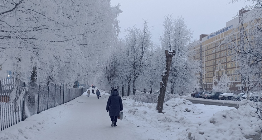 Новый предварительный прогноз на зиму в Кировской области появился в сети