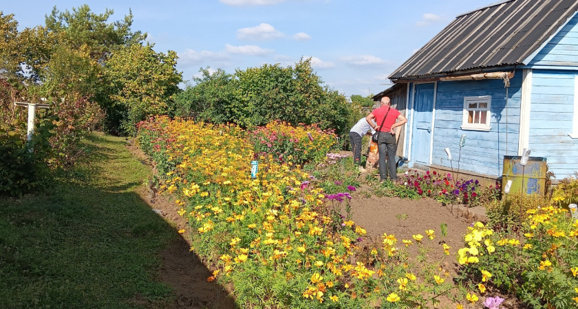 3 ложки на кучу - и перегниют даже ветки: компост на раз-два, земля станет шелковой