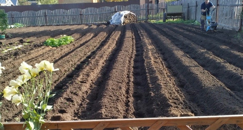 Поливаю компост - и он преет всю зиму без остановки: рецепт мощного "сжигателя"