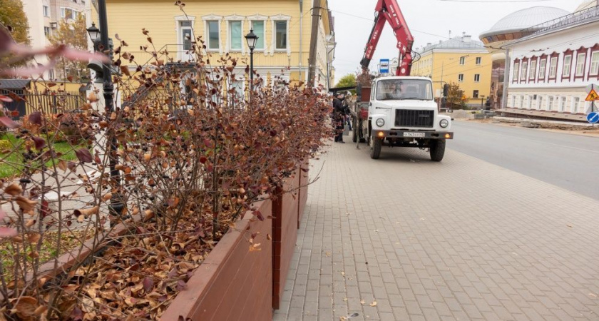 Контейнеры с растениями начали пропадать с улиц Кирова