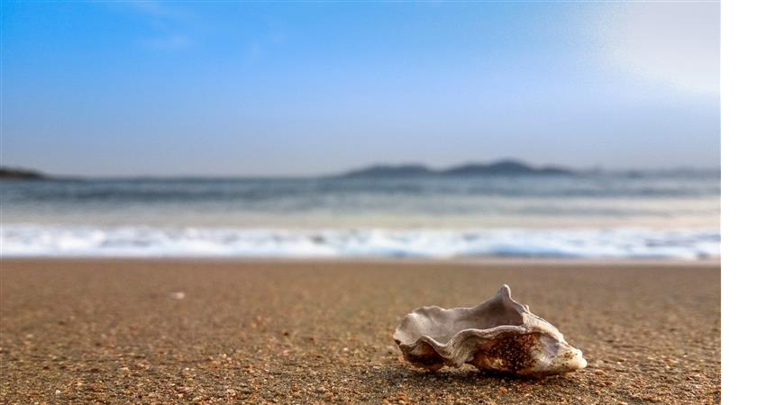 Билайн расширил зону роуминга до 218 направлений, добавив Сан-Томе и Принсипи, Соломоновы острова и Американское Самоа