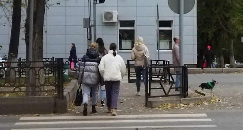 В Кировской области собака сорвалась с поводка и напала на ребенка