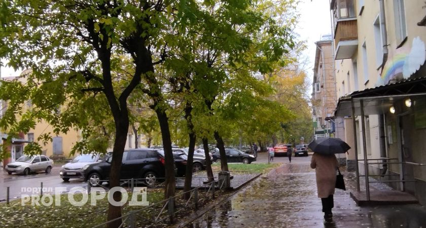 1855 обращений оставили кировчане в соцсетях за неделю, главные темы - ЖКХ и дороги 