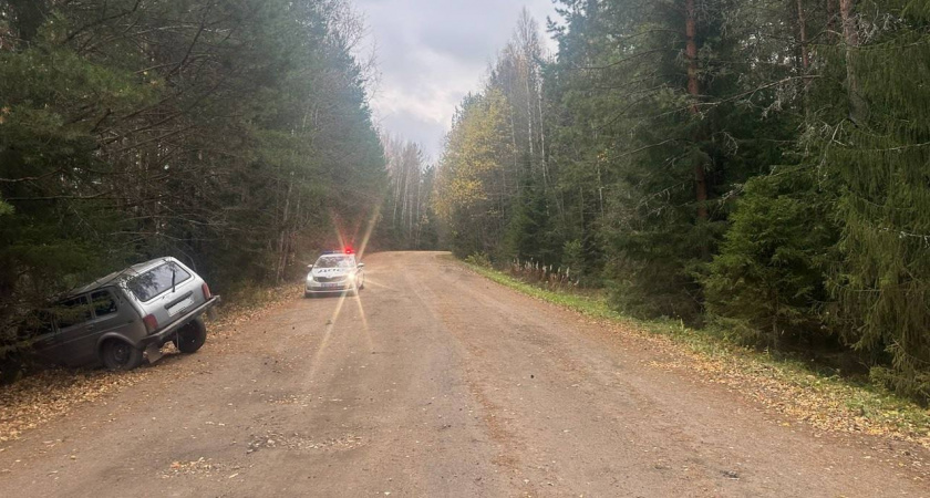 Под Кирово-Чепецком нетрезвая бесправница на "Ниве" покалечила себя и пассажирку