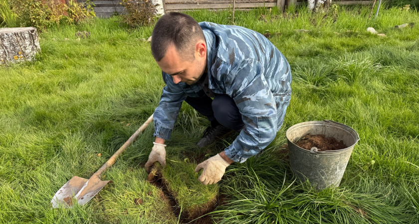 Готовлюсь к зиме правильно: уничтожаю сорняки за 10 дней до заморозков - весной себя благодарю