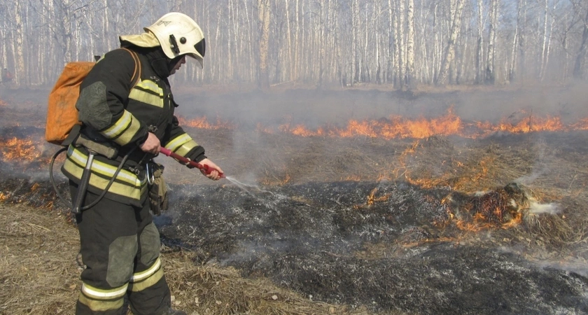 В Кировской области официально завершен пожароопасный сезон в лесах