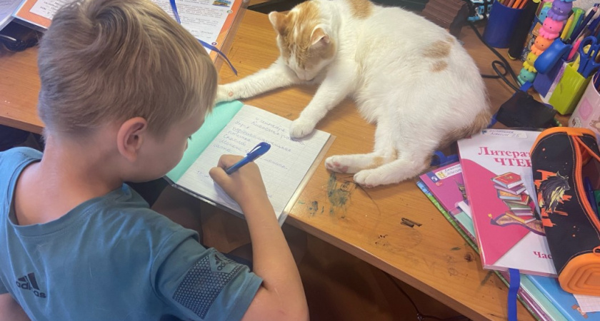 Это имя для мальчика зародилось в Персии, но популярно в России: красивое, необычное - в переводе значит "дар солнца"