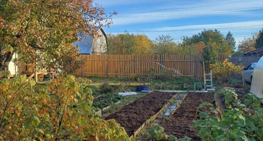 Агроном показал, как правильно копать огород осенью - почва восстанавливается, а весной быстрее прогревается