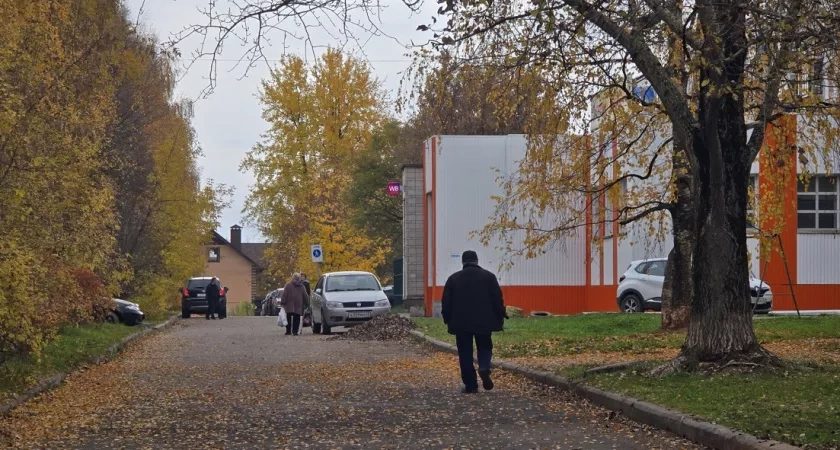 В Кирове первая половина октября прошла с осадками меньше нормы