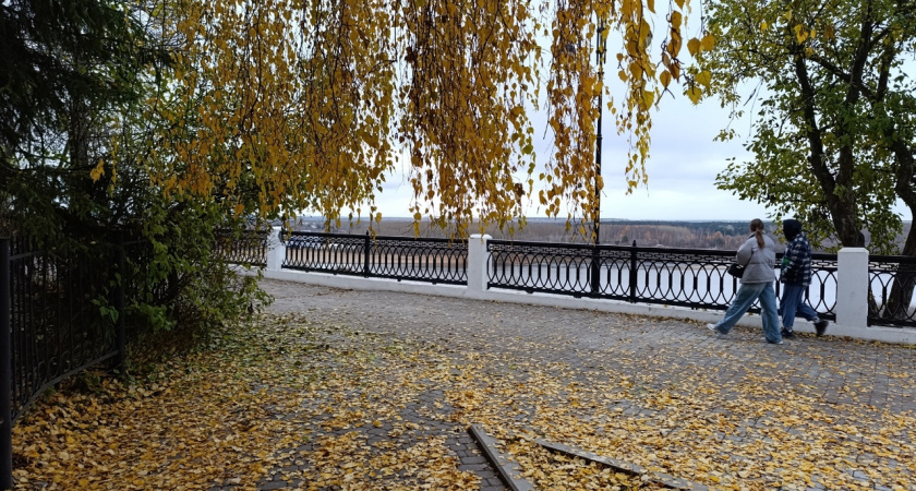 Будут грести деньги лопатой: Тамара Глоба пророчит двум знакам зодиака выигрышный билетик