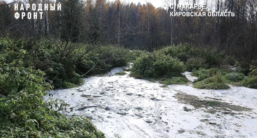Губернатор ищет виновных в появлении белого вонючего болота под Котельничем