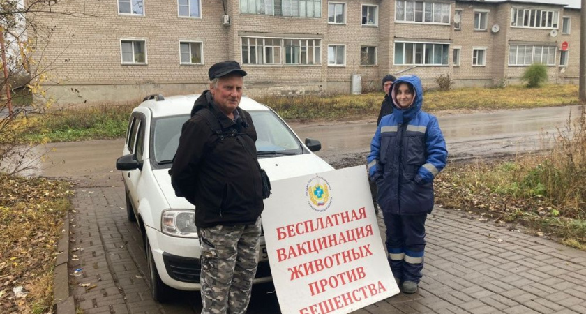 В Ленинском районе Кирова пройдет вакцинация домашних животных