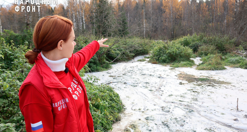 В Котельничском районе кисломолочное болото может обернуться уголовным делом