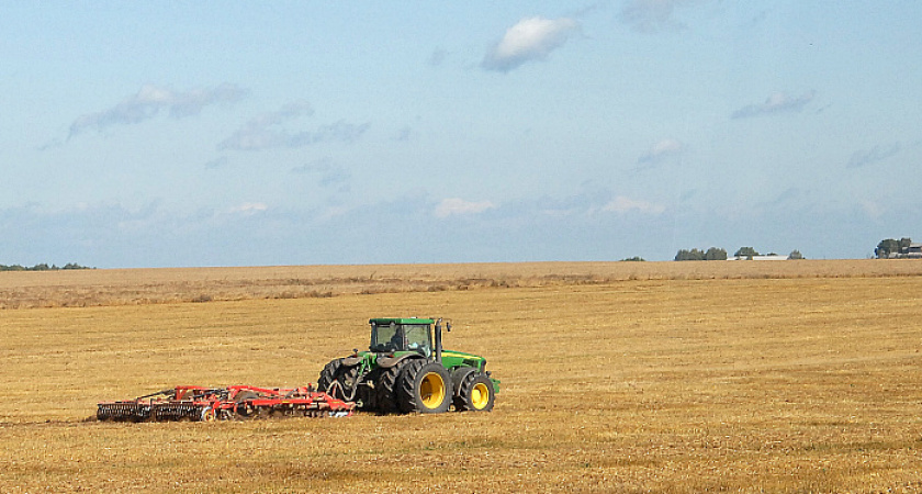 В Кировской области зафиксирована рекордная урожайность зерновых за 15 лет