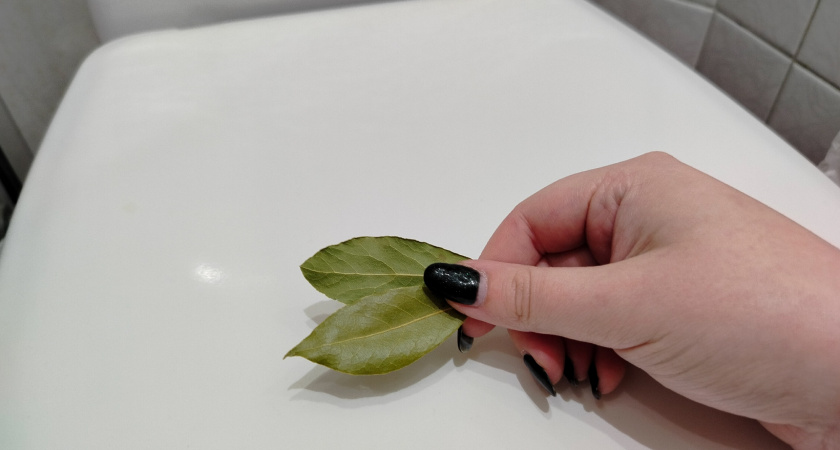 Уходя из дома, всегда бросаю лавровый лист в унитаз - и не нарадуюсь: знакомая горничная дала интересный совет