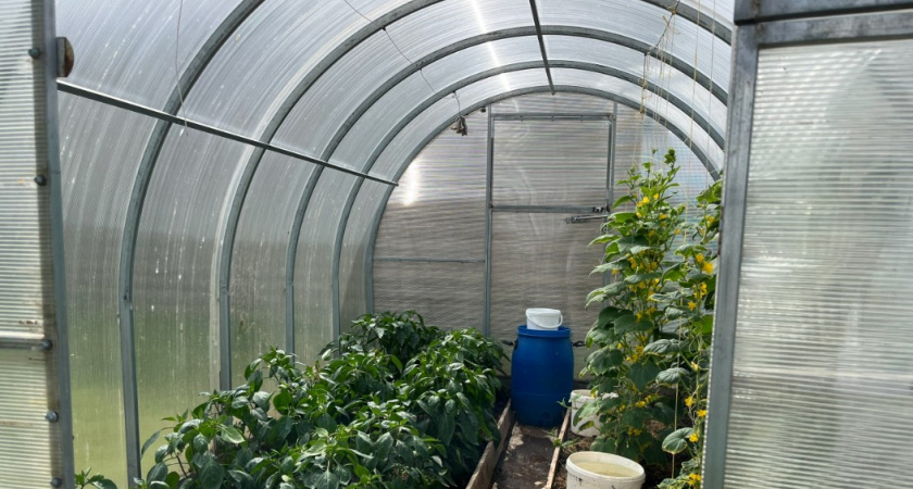 3 роковые ошибки дачника, из-за которых поликарбонат на теплице разрушается за 2 сезона - этим грешат 98%