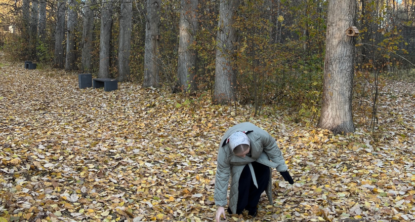 Кировская область наращивает экспорт клееного бруса за границу
