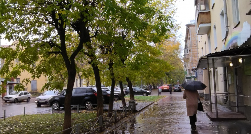 В Кировской области ожидаются сильные дожди