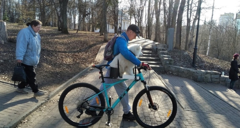 О чем свидетельствует окончание вашей фамилии