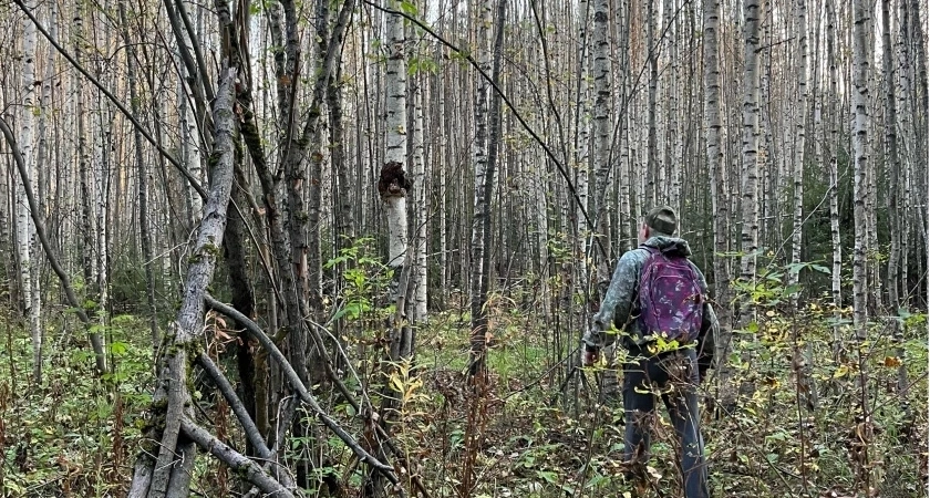 Беспилотные системы помогут охранять леса в Кировской области