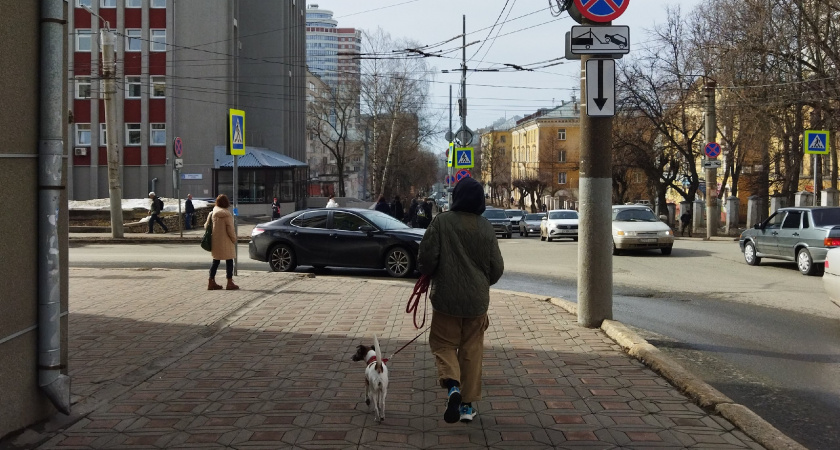 Экспорт животных и трофеев из Кировской области вырос в 2025 году