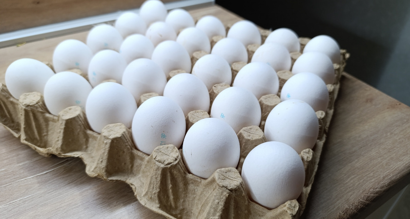 Лотки из-под яиц больше не выкидываю - использую в прихожей: классный лайфхак