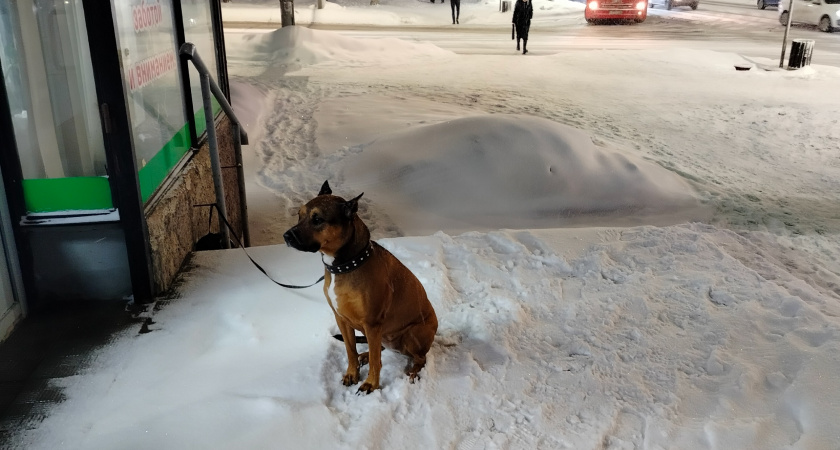 Зима-2025 будет экстремальной: синоптики рассказали, к чему готовиться россиянам