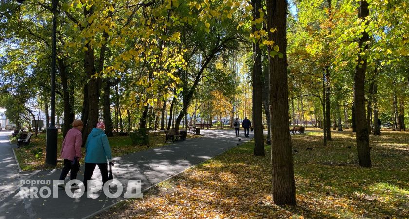 Холода отменяются: в Кировской области ожидается потепление