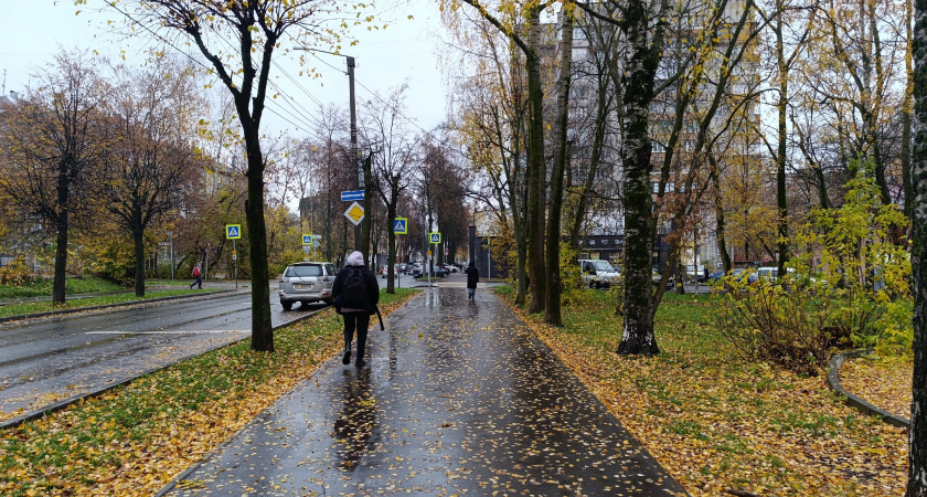 Эта рабочая неделя будет шестидневной: выходные сдвинули на другие даты - как отдыхаем в ноябре 2025