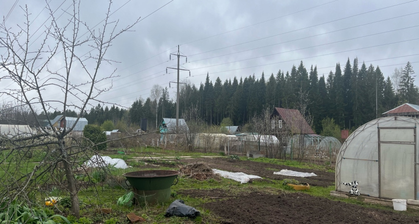 Охапка на грядку осенью - и земля станет плодородной словно чернозем: готовлю почву для богатого урожая