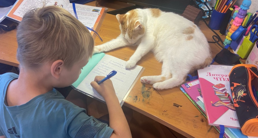 "Наделенный мудростью": это имя для мальчика на пике популярности в России - пришло к нам из стран Востока: так называли правителей