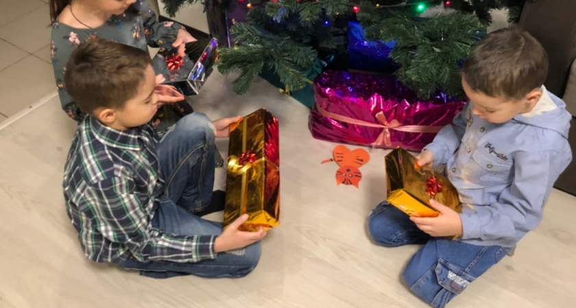 Впервые за 12 лет поставили на Новый год живую елку и 100 раз пожалели: вместо уюта - одни неудобства