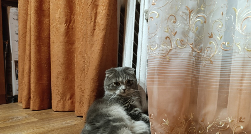 Газ больше не в почете - вот чем отапливают дом матерые хозяева: 4 суперских варианта