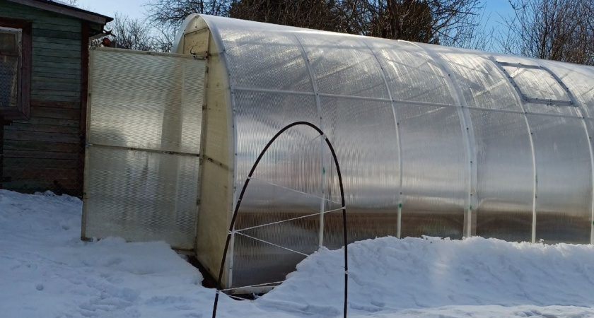 Узнала, как матерые дачники греют теплицу - и ахнула. Жаль, что сама не догадалась - классный лайфхак без проводов и пушек