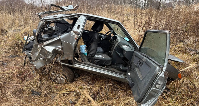 В Пижанском районе несовершеннолетний водитель ВАЗа вылетел с дороги