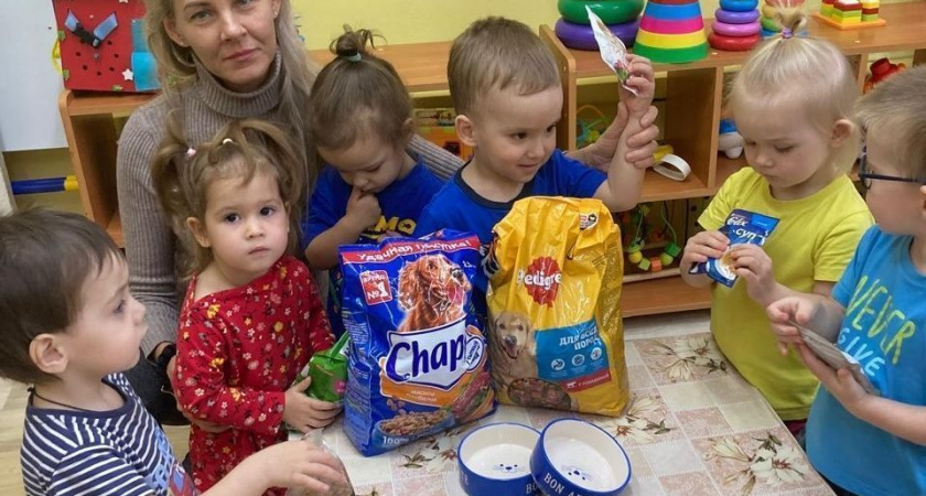 В Кирове собрали 140 килограммов корма для бездомных животных